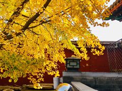 -北京石刻艺术博物馆(五塔寺)