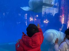 -泉城欧乐堡海洋极地世界