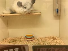 -龙猫仔乐园(惠福东路店)