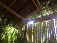 -Jungle Kitchen