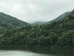-广州市石门国家森林公园