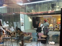 -more than meow吴止猫主题餐厅(承德 中船汇店)