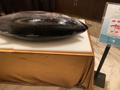 蓝鳍金枪鱼-上海兴国宾馆香樟园西餐厅