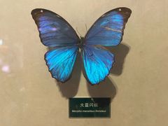 -陕西自然博物馆