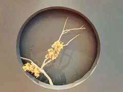 -太极泉健康休闲广场
