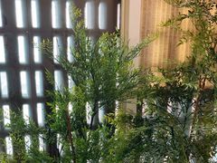 -茗知道茶馆(世博源店)