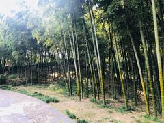 -采石矶景区