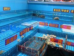-上海阿潘舟山海鲜店(东宝兴路店)