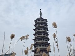 -高旻寺