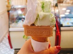 -柠檬车露(卖草地店)