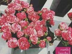 -Butchart布查德鲜花(花艺设计中心)