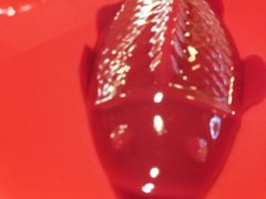 -大院小院传统火锅·小酒馆(北城天街店)
