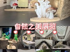 -中国湿地博物馆