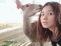 -鹿境梅花鹿生态园区