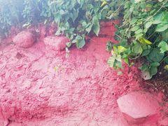 -涠洲岛火山国家地质公园