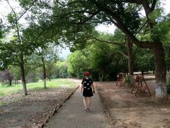 -玉女潭景区
