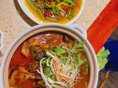 泉水鲜鸡汤-先机泉水鸡汤(南山老君洞店)