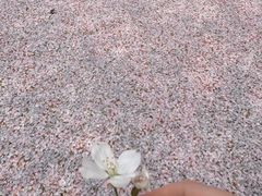 -诺贝尔湖公园