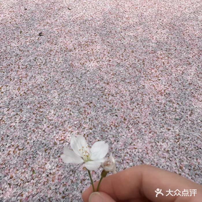 诺贝尔湖公园图片