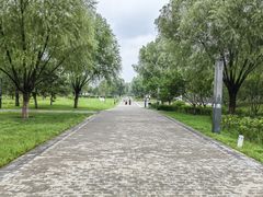 -瀛海足球主题公园