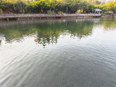 -四海公园(南山区)