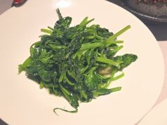 -许家菜(DT51店)