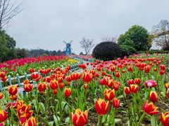 -铁山坪森林公园