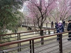 -沐仙湖湿地公园