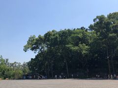 -峨眉山报国寺