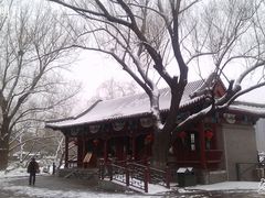 -紫竹院公园冰场