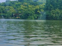 -西湖外事游船(花港观鱼码头)