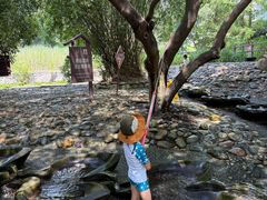 -成都市活水公园