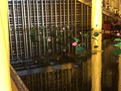 -The Lounge大堂酒廊·咖啡·沙拉·下午茶(金茂深圳JW万豪酒店)