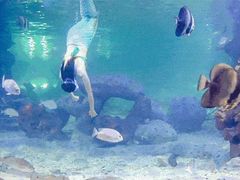 -凤凰轩·尾牙宴·生日宴(十里银滩店)