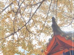 -金堂县云顶石城风景区