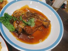 -邵年鸽(杨庄店)