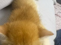 -弘阳·未来世界(弘阳广场店)