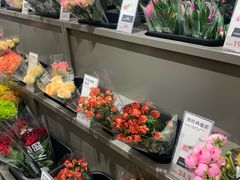 -鹿岛生活(熙地港店)