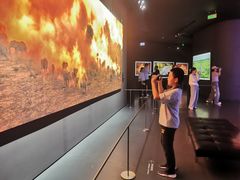 -罗红摄影艺术馆