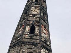 -上海佘山国家森林公园天马山园