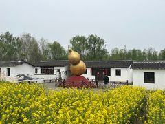 -溱湖国家湿地公园