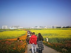 -光明小镇欢乐田园