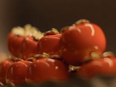 -汤泉良子·沐足·颂钵疗愈·SPA(珠江新城店)