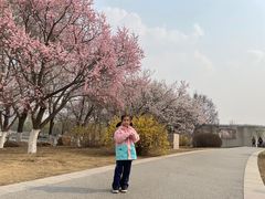 -长春世界雕塑园冰雪艺术天地