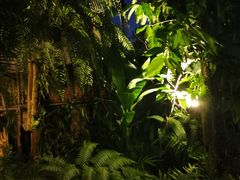 -Let’s Relax Spa(Chiangmai Pavillion)