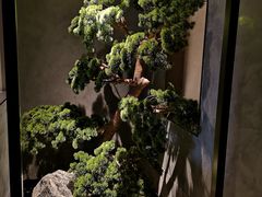 景观位-百富源·海鲜辽菜(浑河堡店)