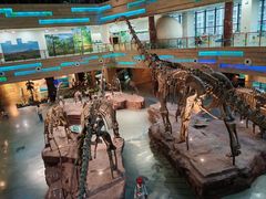 -安徽省地质博物馆