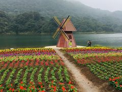 -广州市石门国家森林公园