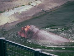 -泉州海丝野生动物世界