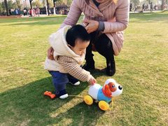 -艾溪湖湿地公园